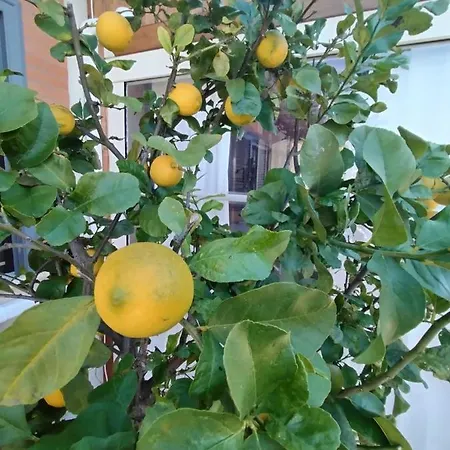 A Casa Di Rossana Appartamento *